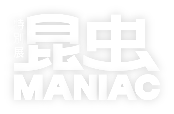 昆虫 MANIAC