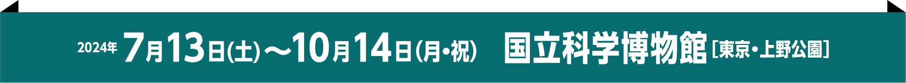 2024年7月13日（土）から10月14日（月・祝）