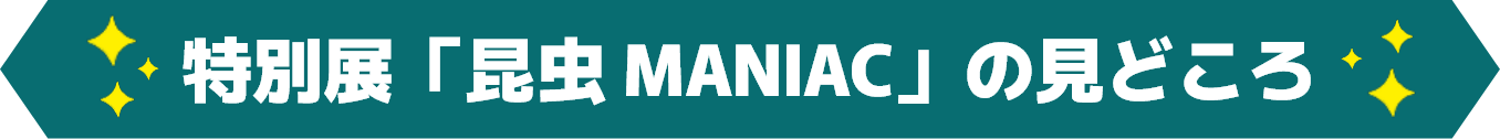 特別展「昆虫 MANIAC」の見どころ